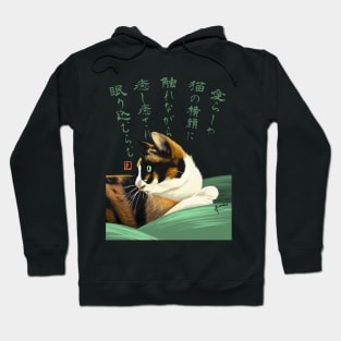 My lovely cat Hoodie